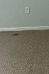 Commercial Carpet Cleaning in Portsmouth Hero - Mobile