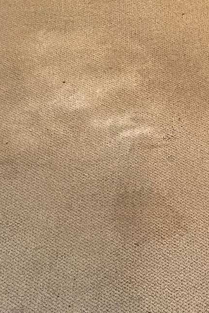 Commercial Carpet Cleaning in Suffolk 6th section