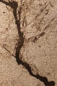 Commercial Carpet Cleaning in Suffolk Hero - Mobile