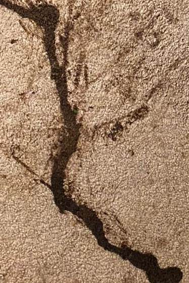 Commercial Carpet Cleaning in Suffolk Hero - Mobile Commercial Carpet Cleaning in Suffolk Hero - Mobile