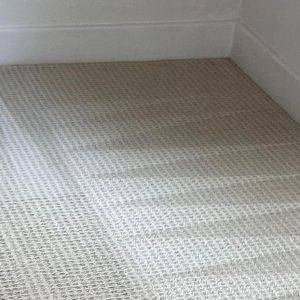 Commercial Carpet Cleaning in Virginia Beach 3rd section