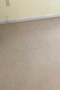 Commercial Carpet Cleaning in Virginia Beach 6th section