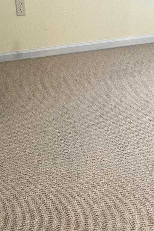 Commercial Carpet Cleaning in Virginia Beach 6th section