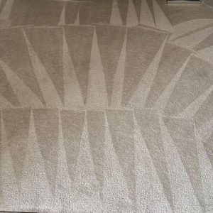 Commercial Carpet Cleaning in Virginia Beach 9th section