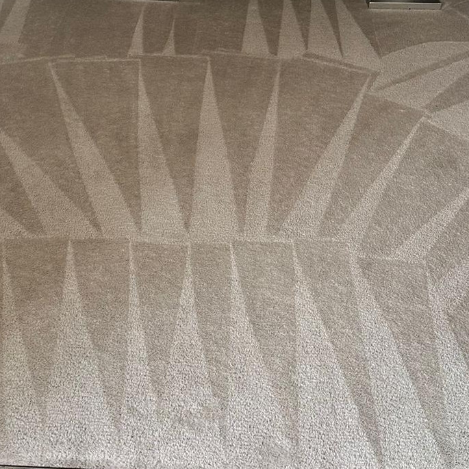 Commercial Carpet Cleaning in Virginia Beach 9th section