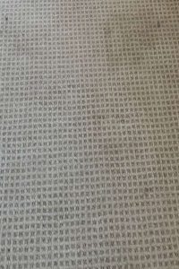 Commercial Carpet Cleaning in Virginia Beach Hero - Mobile