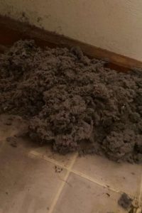 Dryer Vent Cleaning 11th Mobile
