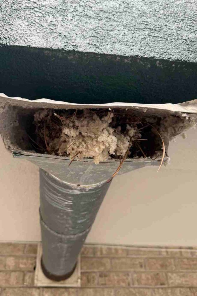 Dryer Vent Cleaning 7th