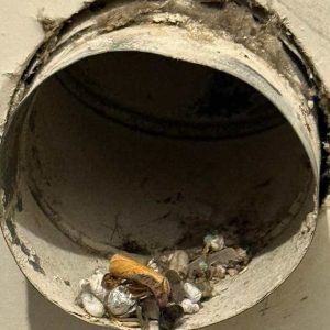 Dryer Vent Cleaning in Norfolk 3rd section