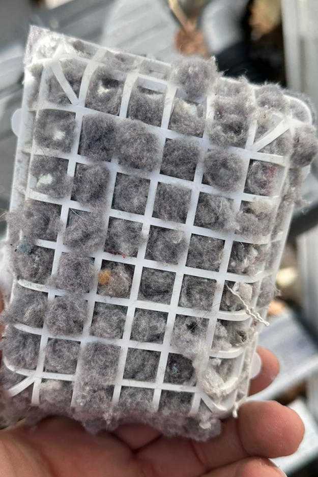 Dryer Vent Cleaning in Norfolk 6th section