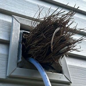 Dryer Vent Cleaning in Norfolk 9th section