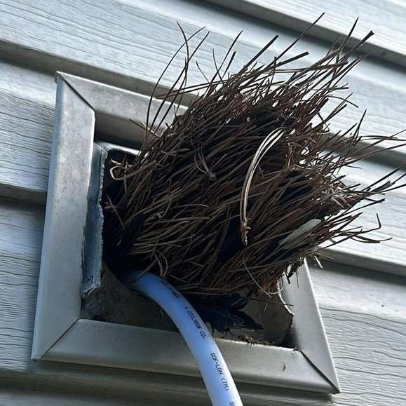 Dryer Vent Cleaning in Norfolk 9th section