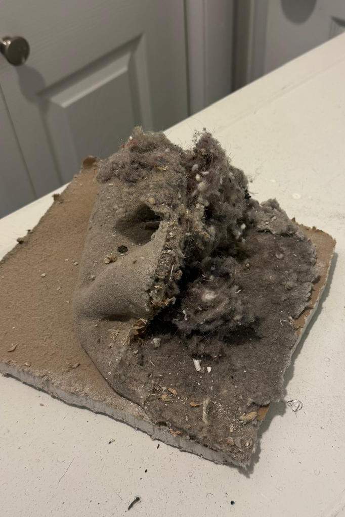 Dryer Vent Cleaning in Virginia Beach 6th section Dryer Vent Cleaning in Virginia Beach 6th section