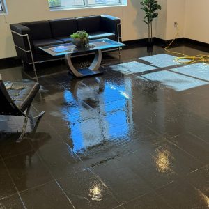 Tile & Grout Cleaning 6th section