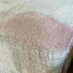 Upholstery Cleaning in Newport News 9th section