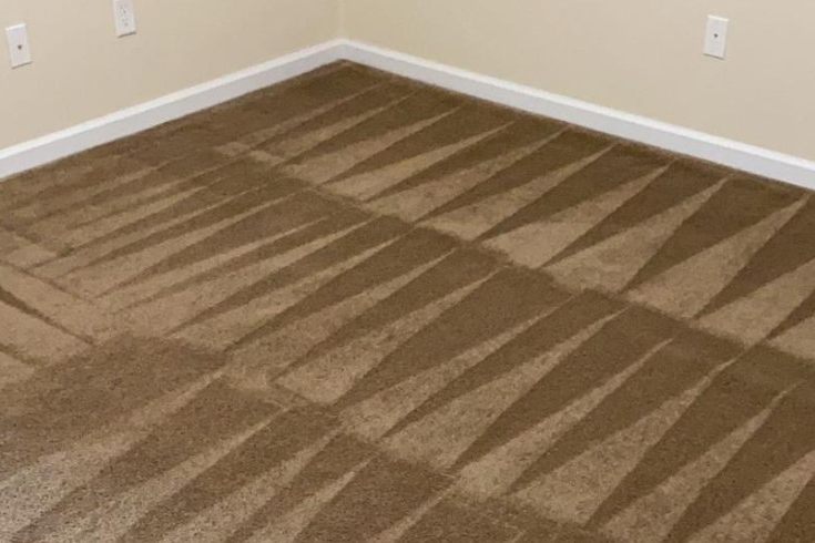 Carpet Cleaning