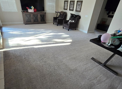 Professional Carpet Cleaning Professional Carpet Cleaning